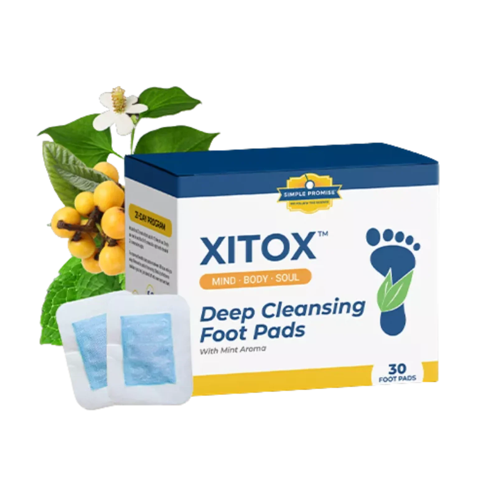 Xitox™ Herbal Detox Foot Pads